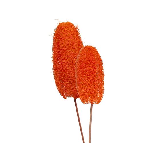 Floristik24 Luffa small on a stick Orange 25pcs