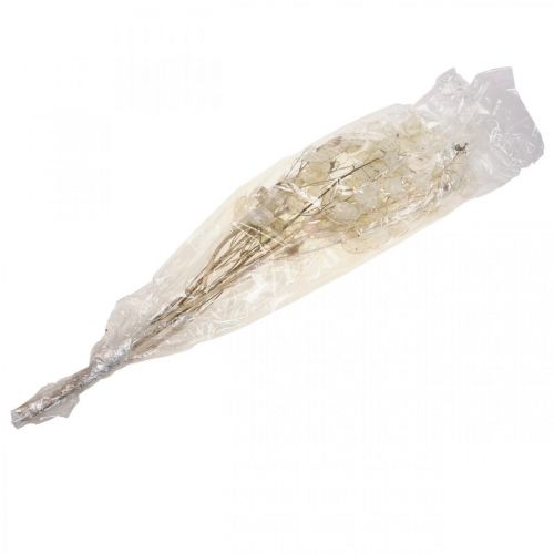 Product Lunaria dried flowers moon violet silver leaf dried 60-80cm 30g