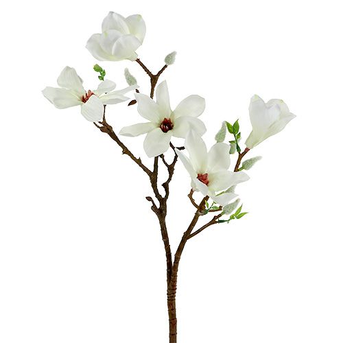 Floristik24 Magnolia white 51cm 3pcs