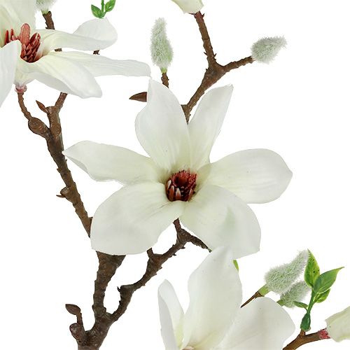 Floristik24 Magnolia white 51cm 3pcs