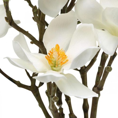 Product Artificial magnolia branches white deco branch H40cm 4pcs in bunch