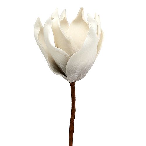 Floristik24 Magnolia blossom made of foam gray, white Ø10cm L26cm 4pcs
