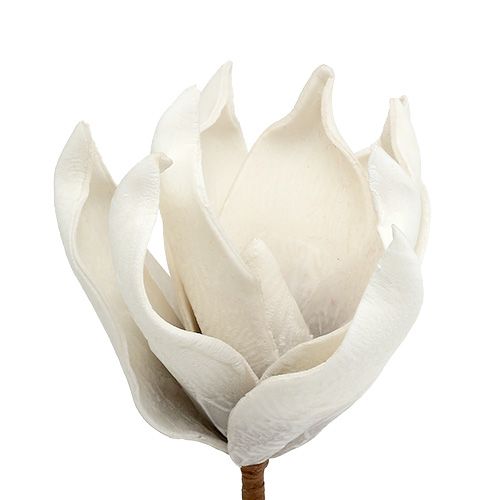 Floristik24 Magnolia blossom made of foam gray, white Ø10cm L26cm 4pcs