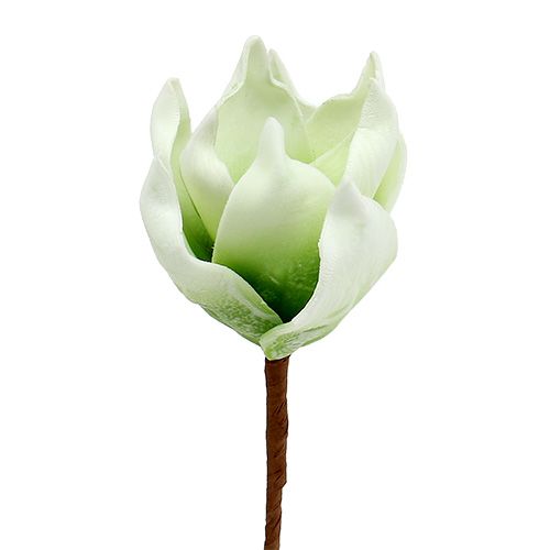 Floristik24 Magnolia blossom made of foam white-green Ø10cm L26cm 4pcs