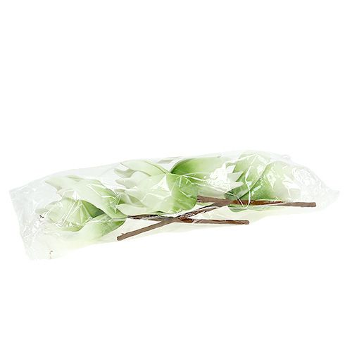 Floristik24 Magnolia blossom made of foam white-green Ø10cm L26cm 4pcs