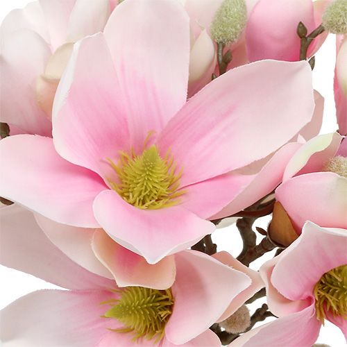 Floristik24 Magnolia bunch pink 40cm 5pcs