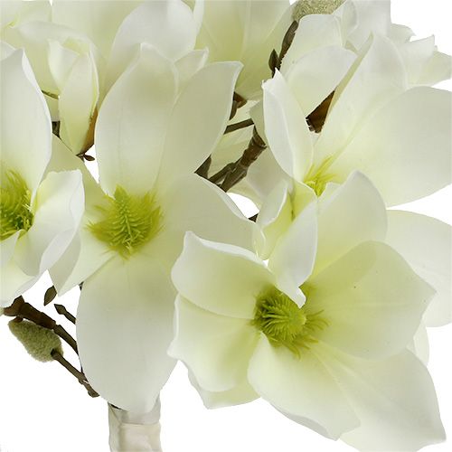 Product Magnolia bunch white 40cm 5pcs