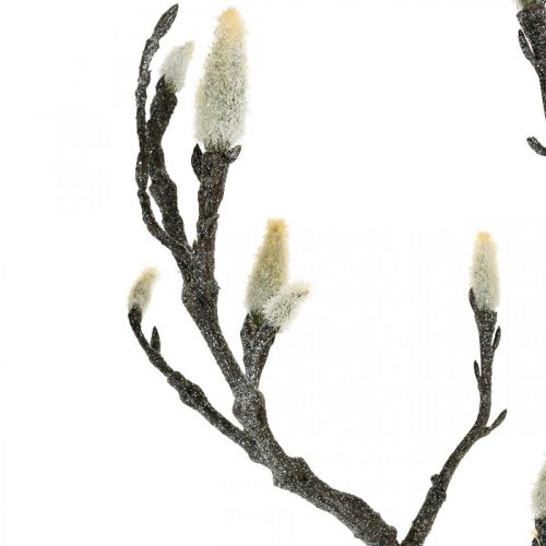 Floristik24 Spring Magnolia Branch Bud Artificial Branch Brown White L100cm