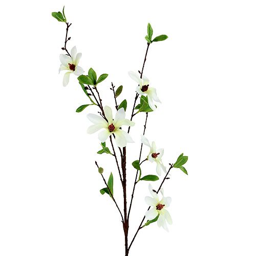 Floristik24 Magnolia branch white-green 94cm
