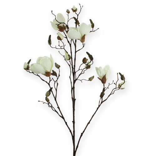 Floristik24 Magnolia branch white 110cm