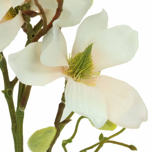 Product Magnolia Peach 85cm