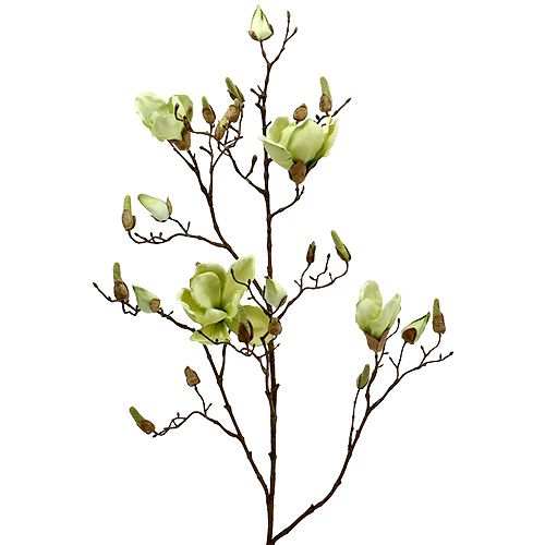 Magnolia branch green L110cm