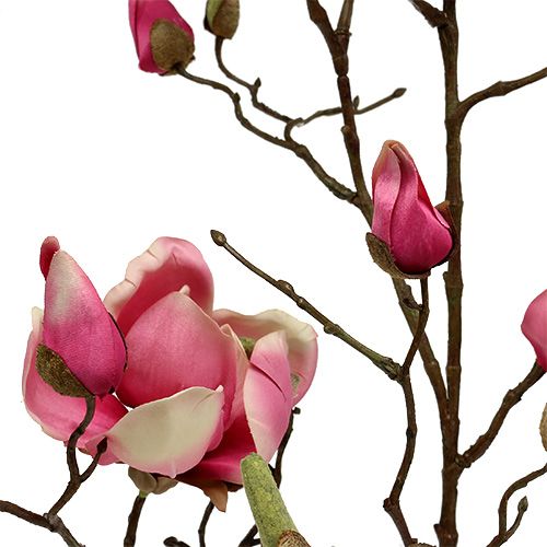 Floristik24 Magnolia branch Violet 110cm 1pc