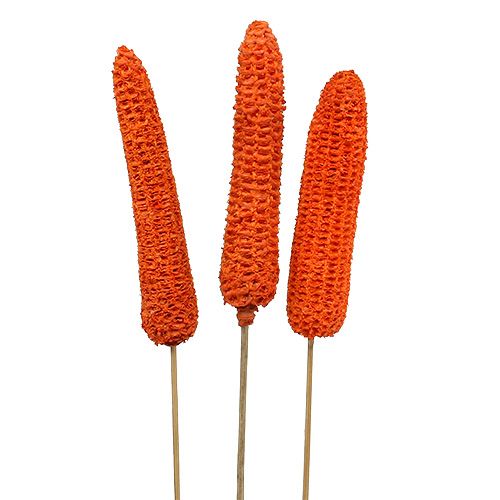 Product Corn on the cob on a stick orange 20 pcs