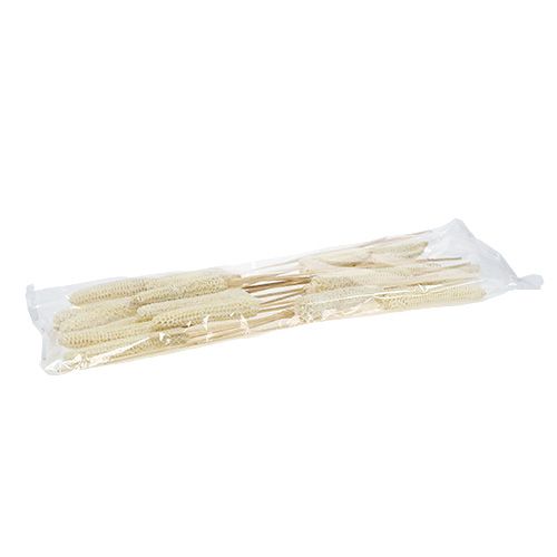 Floristik24 Corn cobs bleached on stick 20 pcs
