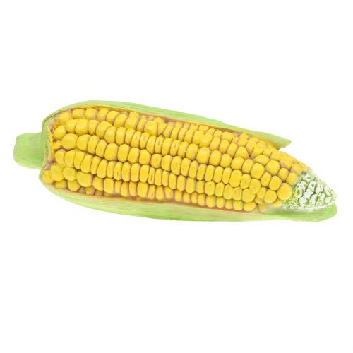 Floristik24 Corn on the cob art vegetables 20cm