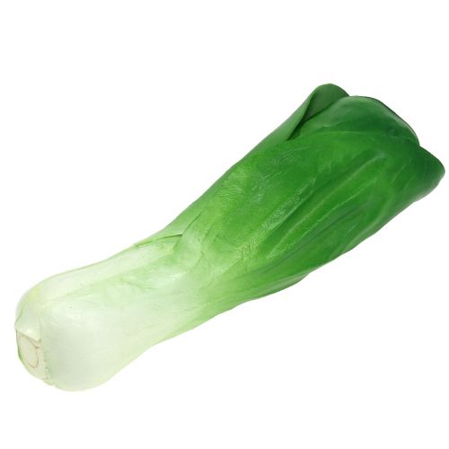 Decorative vegetable chard 25.5cm