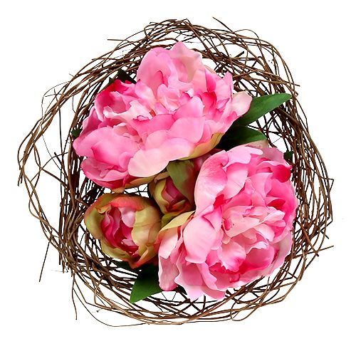 Floristik24 Vine clover Ø20cm nature 8pcs