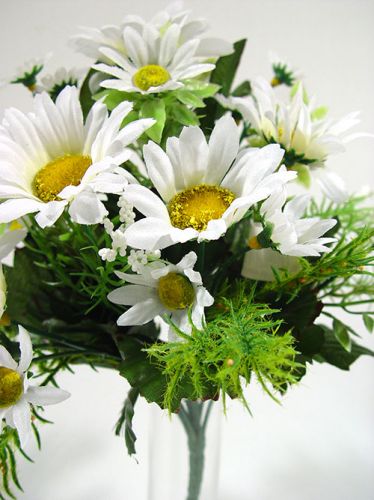 Floristik24 Daisy bouquet small