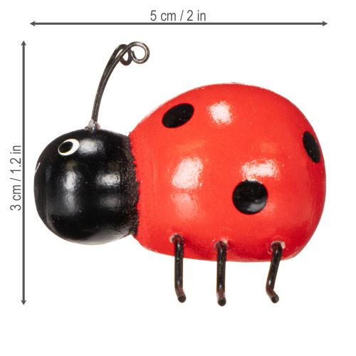 Product Wooden ladybugs/lucky bugs as cute decorations for the home, 5cm, 6 pieces