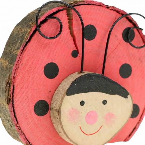 Floristik24 Ladybug red wood Ø7cm 6pcs