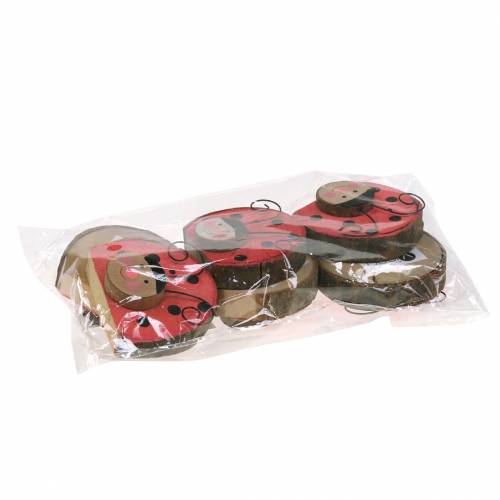 Floristik24 Ladybug red wood Ø7cm 6pcs