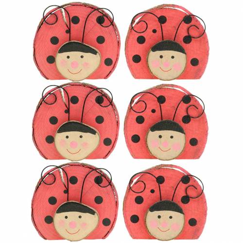 Floristik24 Ladybug red wood Ø7cm 6pcs