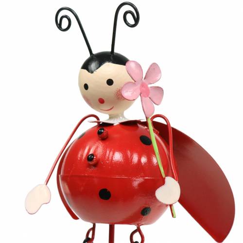 Floristik24 Deco plug ladybug metal H35cm 3pcs