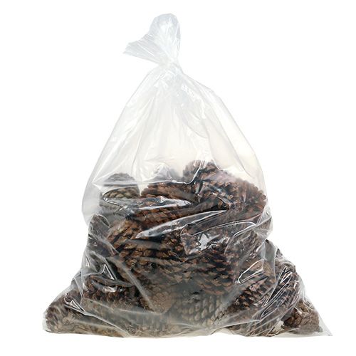 Product Maritima cones 10/14 natural 50 pcs