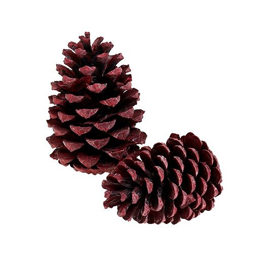 Floristik24 Maritima cones 10-15cm red frosted 12pcs