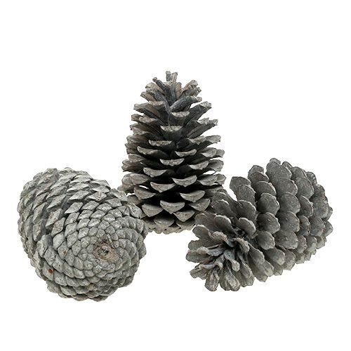 Product Maritima cones 10cm - 14cm white washed 25 pcs