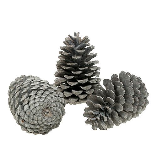 Product Maritima cones 10cm - 14cm washed white 25p