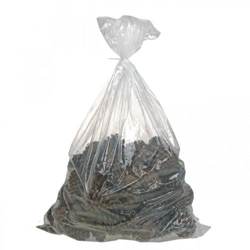 Product Maritima cones, funeral floristry, Advent decoration, natural product H12–15cm Ø6.5–10cm 50 pcs