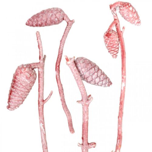 Maritime cones on branch pink / white waxed 400g