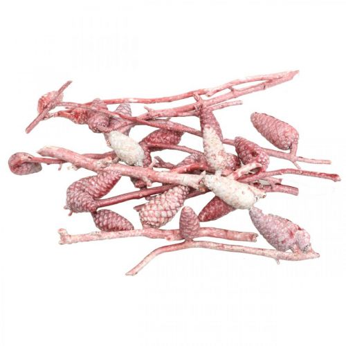Floristik24 Maritime cones on branch pink / white waxed 400g