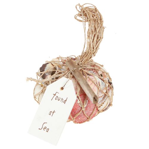 Product Maritime Decoration Shells Mix in Net Colorful 3.5-6cm 300g × 3pcs