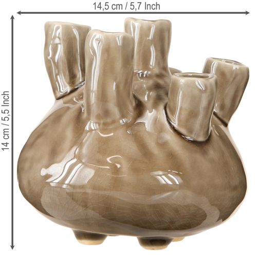 Product Maritime Vase Decoration Coral Design Brown Ø14.5cm H14cm