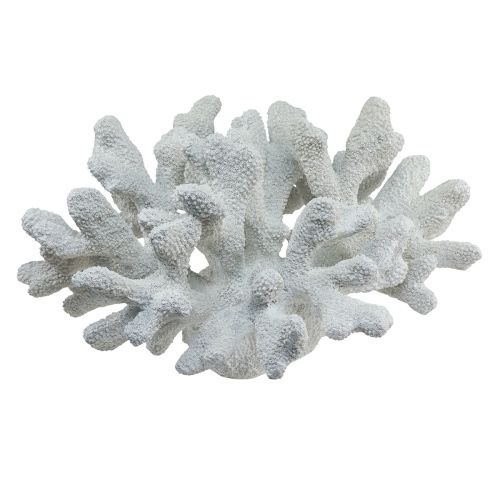 Floristik24 Maritime decoration coral polyresin white 38cm × 44cm × 27cm