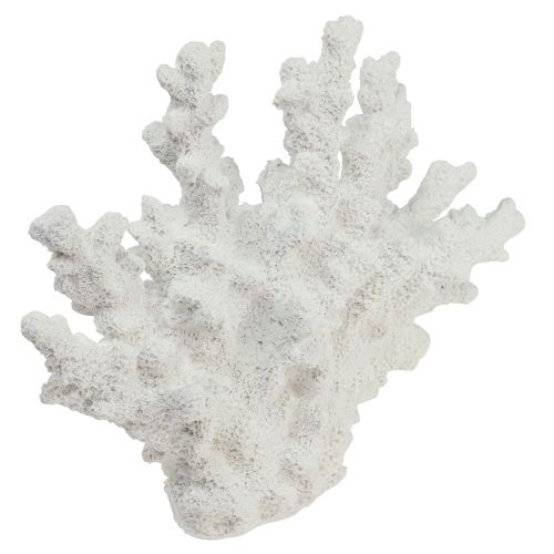 Floristik24 Maritime decoration coral polyresin white 18.5×26cm