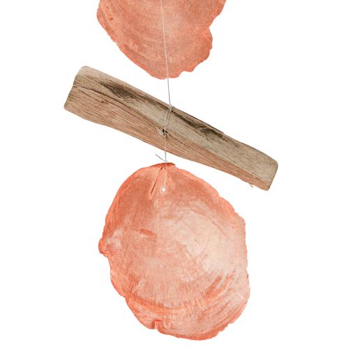 Product Maritime decoration hanger Capiz shells driftwood orange natural 35cm