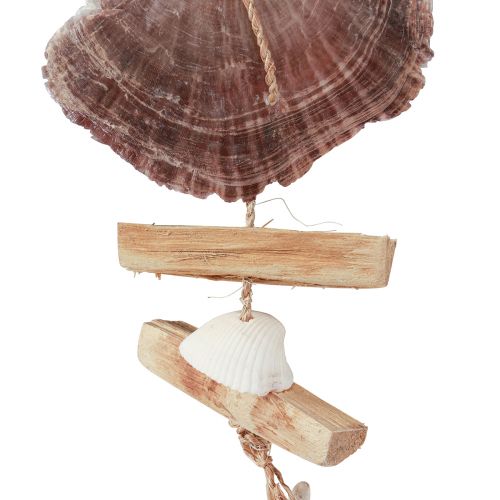 Product Maritime decorative hanger shell starfish Ø10–12cm 40cm