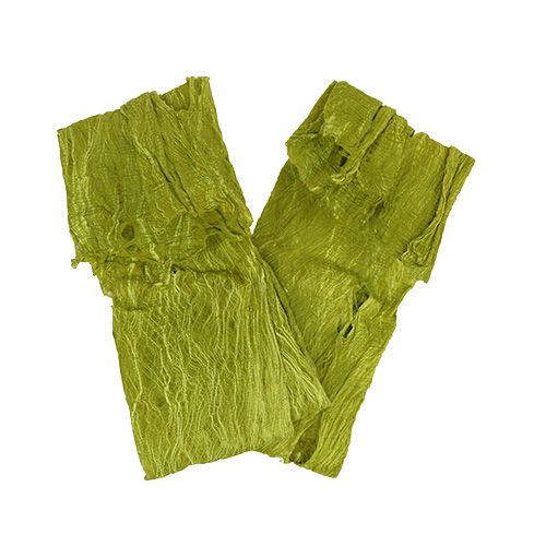 Floristik24 Mulberry bark apple green 250g