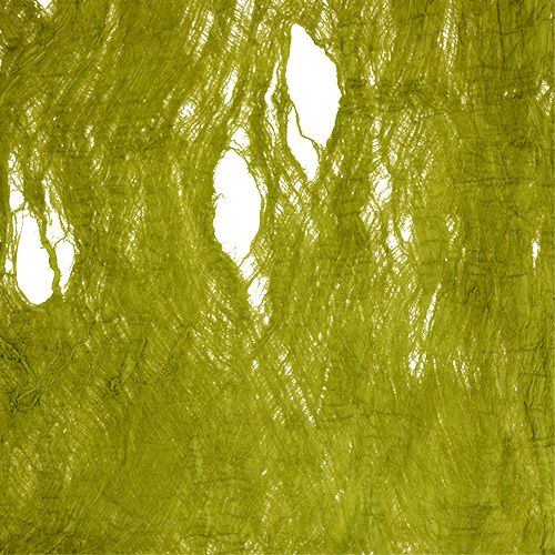 Floristik24 Mulberry bark apple green 250g