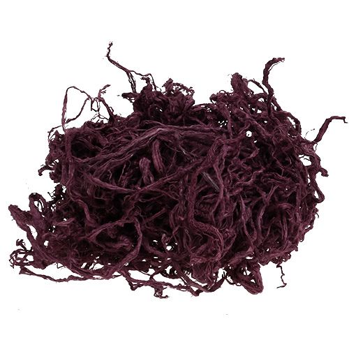 Floristik24 Mulberry Cotton Eggplant 150g