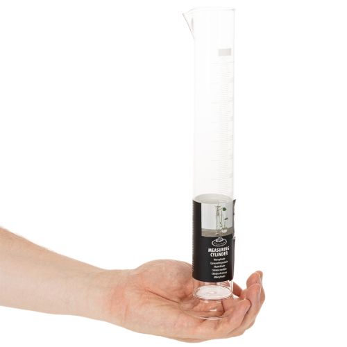 Glass Cylinder with Base, 250ml, 30cm Height – Ideal for Indoor Plant Cultivation and Decoration | Floristik24.co.uk
