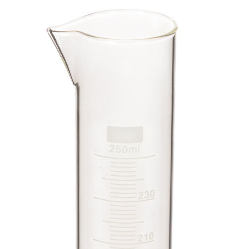 Glass Cylinder with Base, 250ml, 30cm Height – Ideal for Indoor Plant Cultivation and Decoration | Floristik24.co.uk