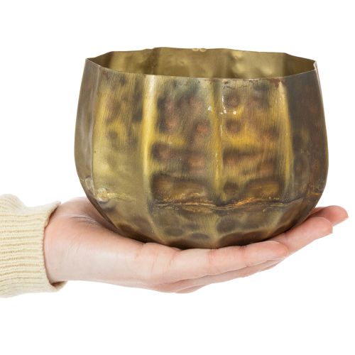 Metal decorative flower pot, brass, Ø22/18/14cm, set of 3 | Floristik24.co.uk
