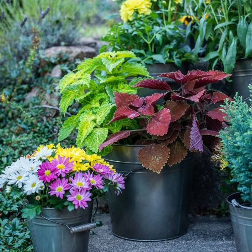 Floristik24 Metal vessel, plant bucket, metal decoration Ø27cm H25cm