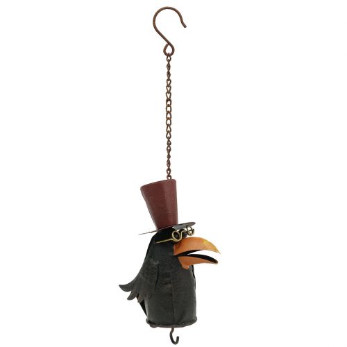 Floristik24 Raven for hanging 18cm