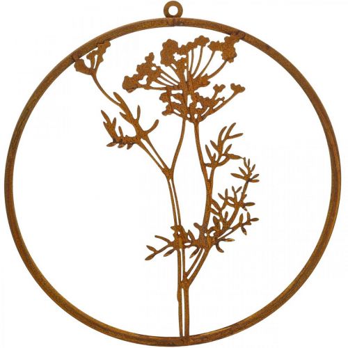 Floristik24 Metal ring patina decoration ring wall decoration dill branch Ø38cm